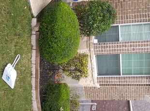 Bush Trimming by Noe Perez for Betty G. in San Antonio, TX