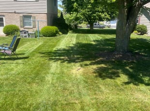 Delal M.'s Lawn Maintenance service result