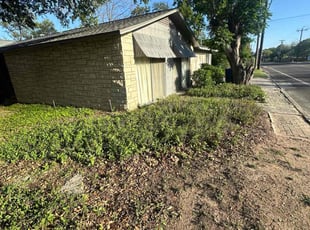 Bush Trimming by Lacy Dixon for Gwendolyn D. in San Antonio, TX