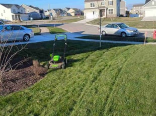 Lady S.'s Grass Cutting service result