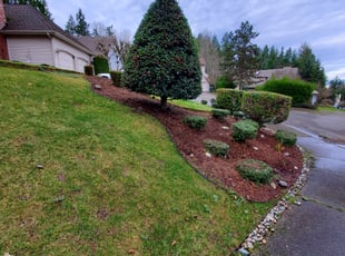 Leaf Removal by Coben Varland for Sriram C. in Bellevue, WA