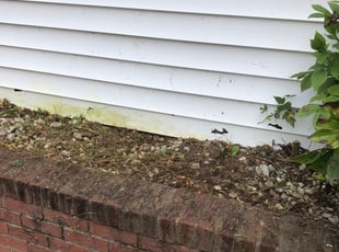 Weeding by Aaron Kinchen for Valencia E. in Richmond, VA