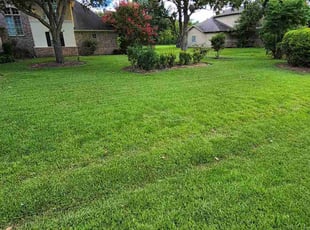 Satirah G.'s Lawn Care service result