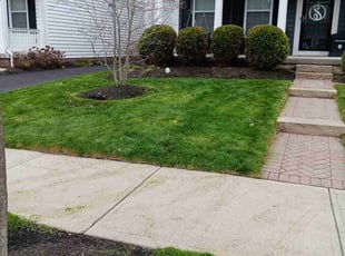 Sherrell M.'s Lawn Mowing Service service result