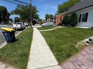 Christina F.'s Yard Cutting service result