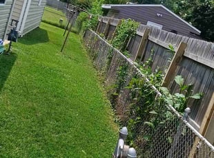 Dione W.'s Weeding service result