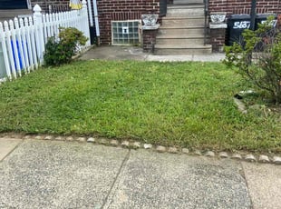 Natasha H.'s Lawn Service service result