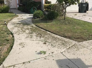 Bush Trimming by Christian Perez for Scott C. in Rowland Heights, CA