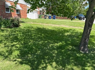 Trenton B.'s Lawn Mowing service result