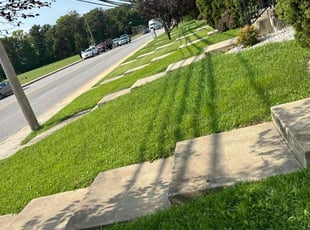 Lotanna O.'s Lawn Service service result