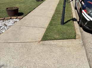 Tori C.'s Yard Cutting service result