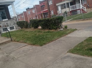 Bush Trimming by Adraus Thomas for Marvin B. in Baltimore, MD