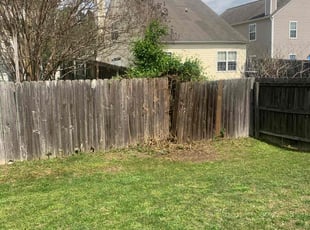 Bush Trimming by Addison Brown for Beverly B. in Raleigh, NC