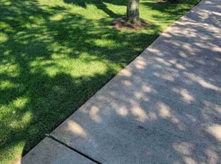 Sharon F.'s Yard Cutting service result