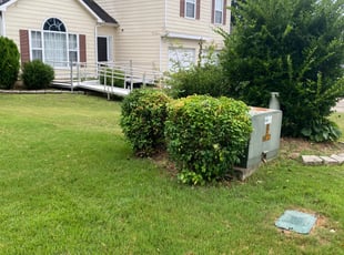 Bush Trimming by Vicki Douglas for Denise E. in Acworth, GA