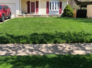 Stephen R.'s Lawn Mowing Service service result