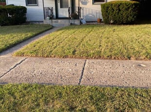 Brynn S.'s Lawn Mowing service result