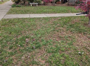 Cleanups by Zachary Schwarz for Ashley W. in Charlotte, NC