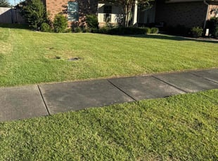 Amy H.'s Lawn Care service result