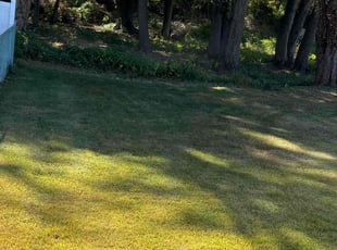 Edmond W.'s Grass Cutting service result