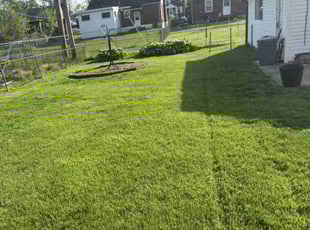 Maryann G.'s Lawn Care service result
