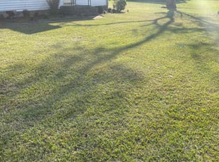 Denise G.'s Lawn Care service result