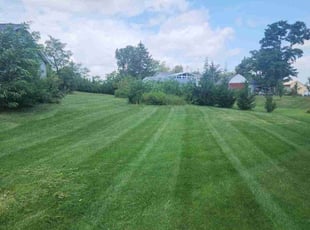 Gregory P.'s Lawn Care service result