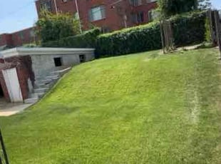 Misty R.'s Lawn Mowing service result