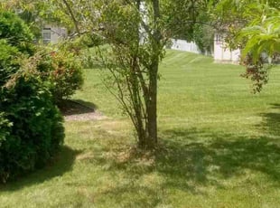 Peter A.'s Lawn Care service result