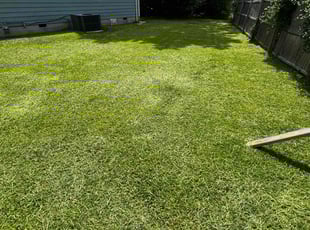 Chris S.'s Grass Cutting service result