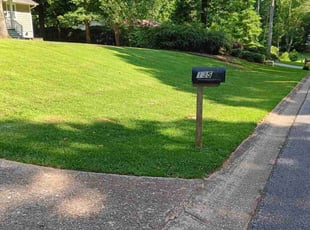 Ernest A.'s Lawn Mowing service result