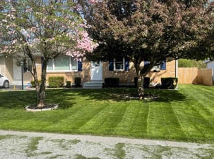 Ronny W.'s Lawn Service service result