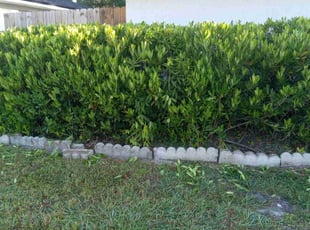 Bush Trimming by Marvel Carmichael for Christina G. in Casselberry, FL