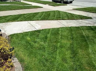 Diane P.'s Lawn Service service result