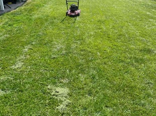 Robert K.'s Lawn Maintenance service result