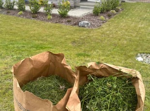 Kin L.'s Lawn Care service result