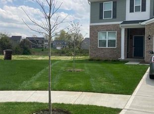 Jessica S.'s Lawn Mowing service result