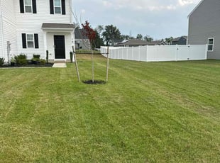 Mary Ann M.'s Lawn Maintenance service result