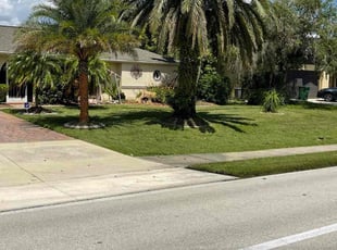 Jimmy R.'s Lawn Mowing service result