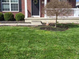 Patricia C.'s Grass Cutting service result