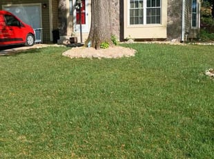 Jill K.'s Lawn Care service result