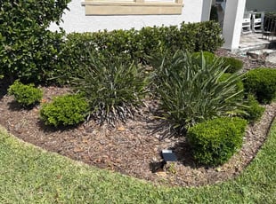 Weeding by Elvis Pintado for Aida H. in Odessa, FL
