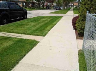 Ricardo D.'s Lawn Care service result