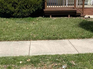 Deoundrea K.'s Lawn Service service result