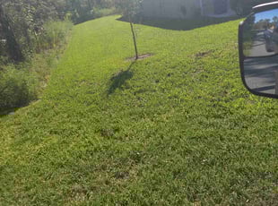 Wyatt R.'s Lawn Maintenance service result