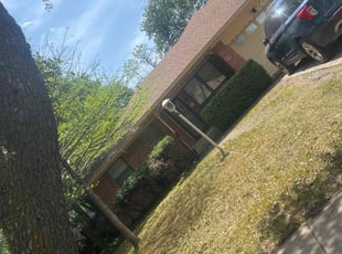 Bush Trimming by Dante Pressley for Dustin M. in Plano, TX