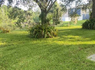 Jeannette G.'s Grass Cutting service result