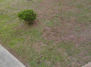 Weeding by Tyreek Leacock for Bruce T. in Smithfield, VA
