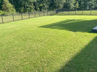 Lisette G.'s Lawn Mowing Service service result