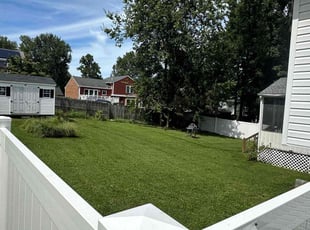 Jeannette L.'s Yard Cutting service result